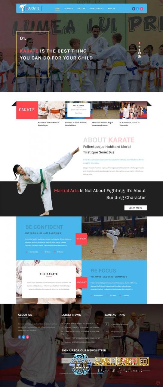 宽屏的儿童跆拳道培训教育网站模板下载